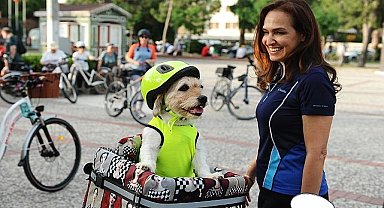 Karşıyaka'nın can dostlar için yol haritası hazır