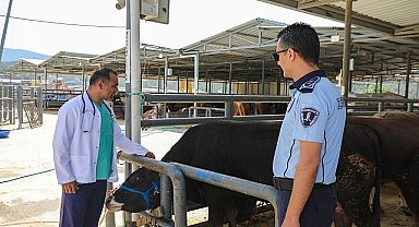 Karşıyaka'nın kurban pazarında hazırlıklar tamam