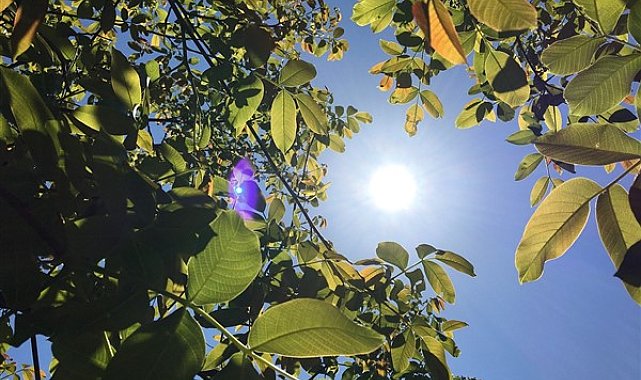 Mevsim normalleri üzerinde seyreden hava sıcaklıkları düşecek