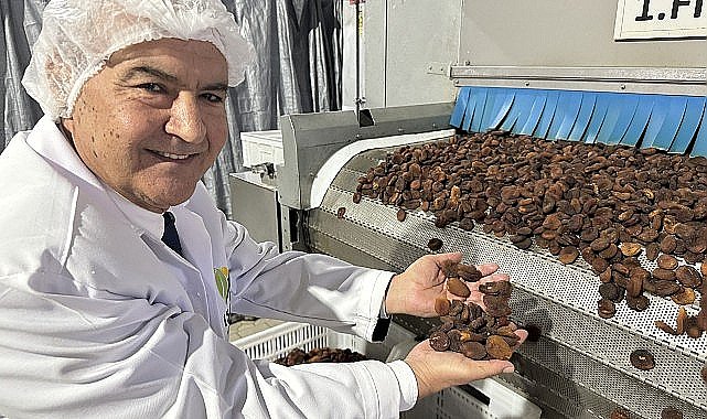 Muhteşem üçlü kuru üzüm, kuru kayısı ve kuru incirin ihracatı 1 milyar doları aştı