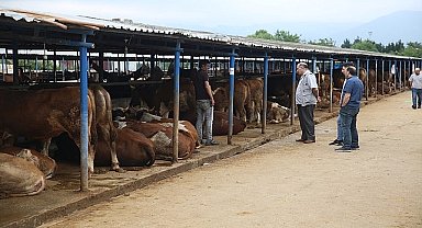 Nilüfer Kurban Bayramı'na hazır