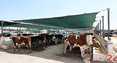 Selçuklu Belediyesi yaklaşan Kurban Bayramı öncesinde vatandaşların ve satıcıların faydalanabileceği kurban satış yerinde çalışmalarını tamamladı