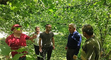 Son zamanlarda yüksek seyreden hava sıcaklığında yaşanan ani düşüş ve beraberinde gelen rüzgarlı ve yağışlı hava, bir çok bölgede olduğu gibi Kandıra'da etkisini gösterdi