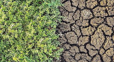 TEMA Vakfı'ndan Toprak İçin Bir Olma Çağrısı: 