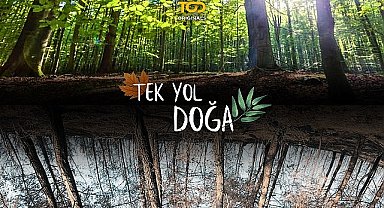 TOD'da Haziranda Yaz Şenliği Var!