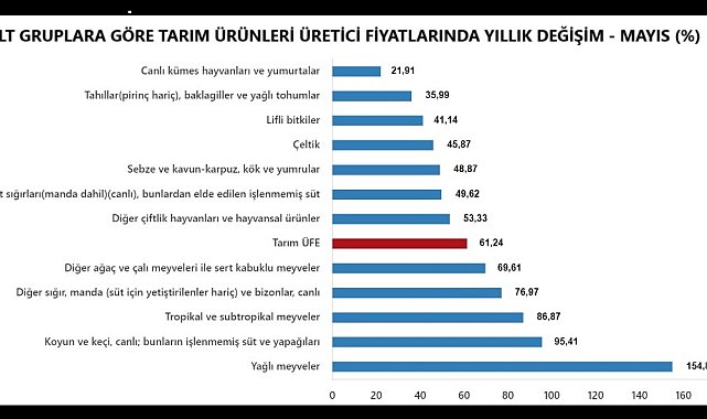 TÜİK-Tarım ürünleri üretici fiyatları Mayıs'ta yıllık yüzde 61,24 yükseldi