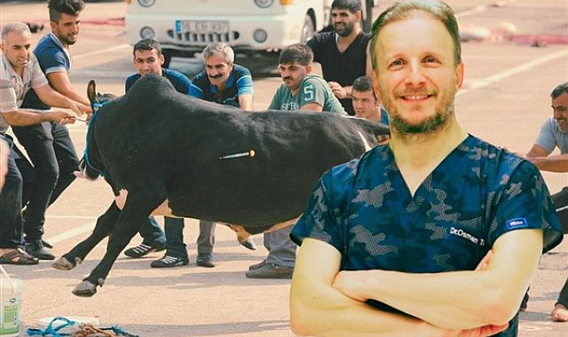 Uzmanı uyardı: Acemi kasaplar dikkat, bayramınız kanlı bayrama dönüşmesin