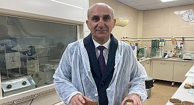 91 ülkedeki patili dostların maması Türkiye'den