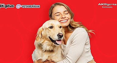 Aksigorta'dan evcil hayvan sahiplerini en iyi anlayan sigorta: Aksigorta Pati Plus VetAmerikan