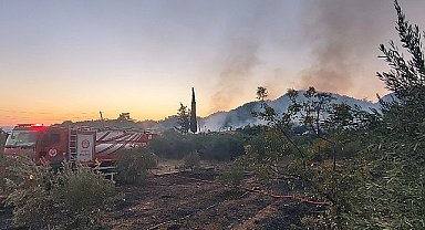 Antalya Büyükşehir ekiplerinden orman yangınına müdahale 