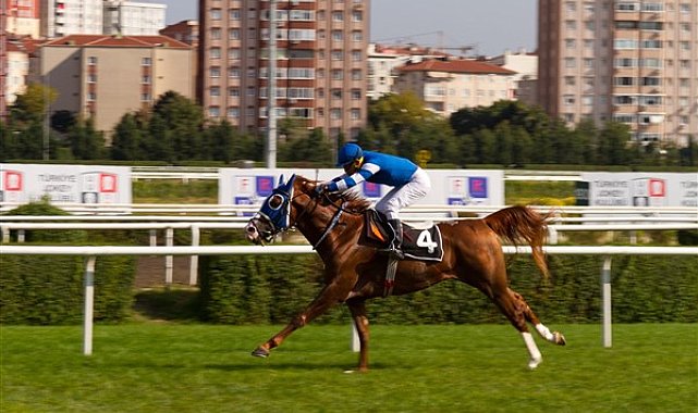 At yarışı bahislerinin yeni bayisi 4Nala.com, 30 Haziran’da Gazi Koşusu’ndaki yerini aldı