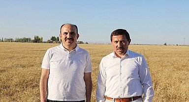 Başkan Altay: “Susuz Tarımla Yetiştirdiğimiz Yerli Buğdayın Hasadını Yaptık