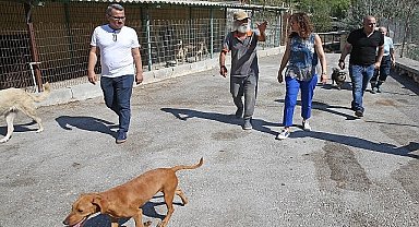 Başkan Ünsal: “Yaşam hakkı kutsaldır