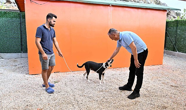 Başkan Uysal: Sokak hayvanları sorununun çözümü ötanazi uygulaması değil