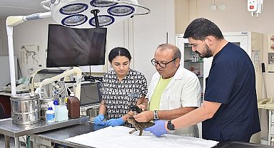 Başkan Yiğit: “Öldürme yasasına karşıyız