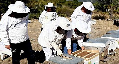 Bayraklı Belediyesinden yerel üreticiye kurs desteği 'Arıcılık ve bal üretimi kursu' başlıyor
