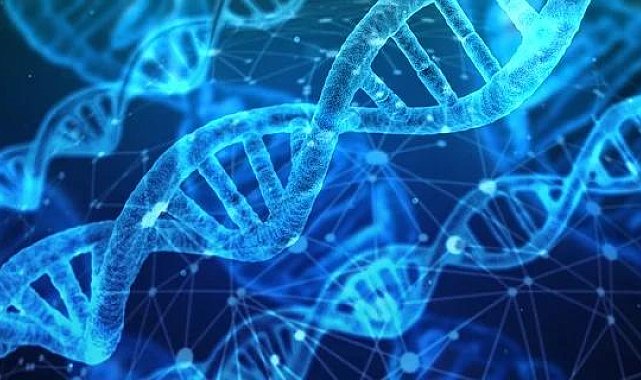 Bilim insanları binlerce kişiyi etkileyebilecek genetik bir bozukluğu ortaya çıkardı