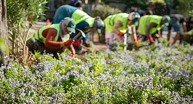 Buca'nın caddeleri çiçek açtı