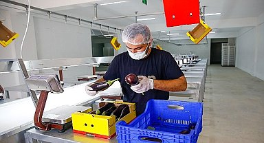 Büyükşehir Belediyesi'nden Kumluca'ya iki yeni tesis