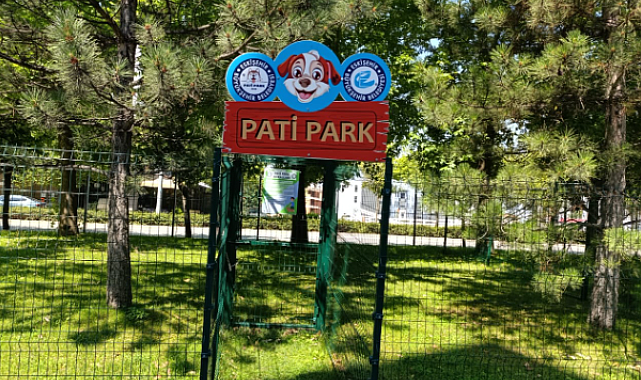 Eskişehir'de evcil hayvanlar için Pati Park yapıldı
