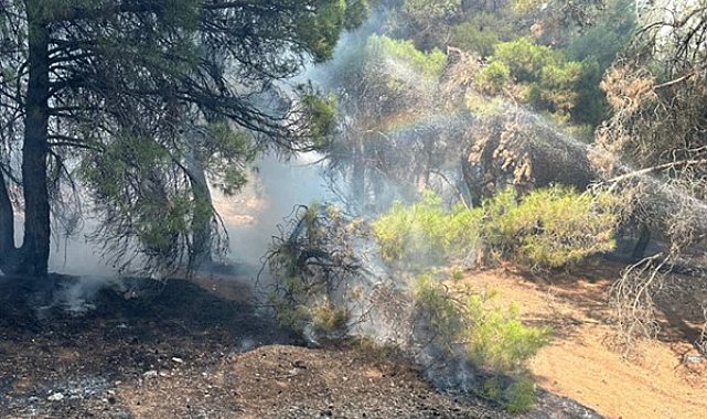Gaziantep’teki orman yangınına 350 personel ve 127 araçla müdahale edildi