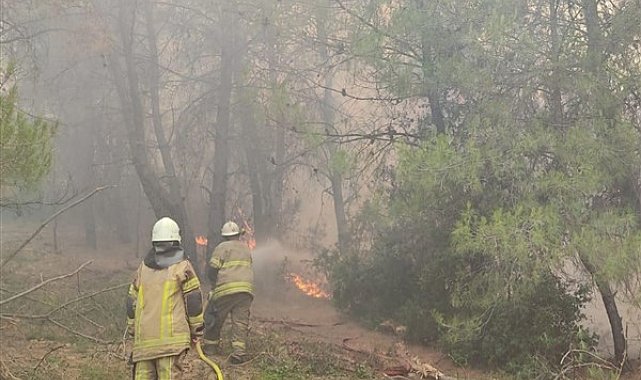 İzmir'de 4 ilçede yangın devam ediyor