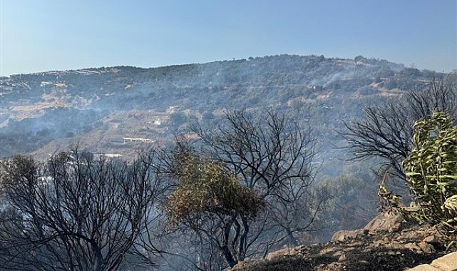 İzmir İtfaiyesi, Dikili'de orman yangınına müdahale ediyor