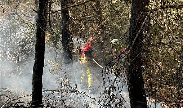 İzmir İtfaiyesi ilçelerdeki yangınlara müdahale ediyor