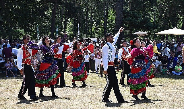 İznik Belediyesi'nin ev sahipliğinde 4. kez düzenlenen Maviyemiş Festivali'ne bu yıl katılım yoğundu