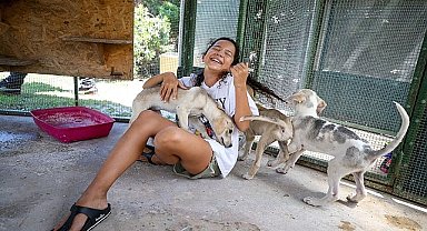 Karşıyaka'da can dostlar yeni yuvalarına kavuştu 