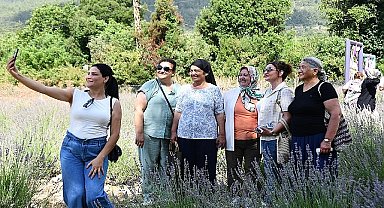 Kemer'de lavanta tanıtım etkinlikleri devam ediyor