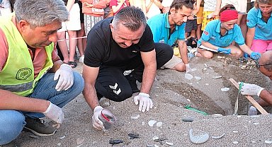 Kemer'de son 30 yılın caretta caretta rekoru bekleniyor