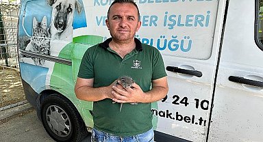 Konak'ta çöpten 'Umut' doğdu