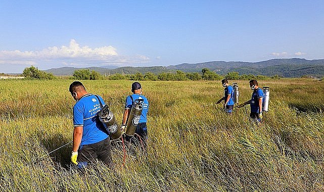 Muğla'da Vektörle Mücadelede Ara Yok