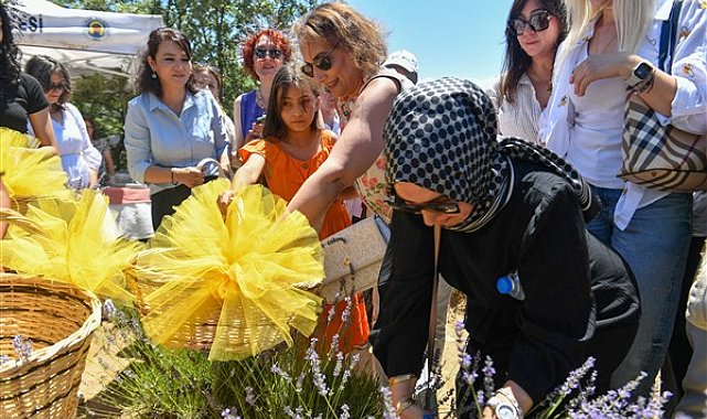 Nallıhan'da “Lavanta Hasat Şenliği” düzenlendi