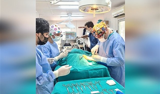 Osmangazi'de 6 ayda 2 bin 170 kedi ve köpek kısırlaştırıldı