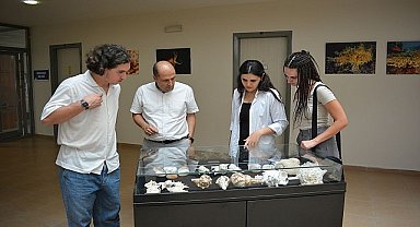  Prof. Dr. Dinçer, “Deniz balığı ile kültür balığı arasında sağlıklı beslenme açısından önemli bir fark yok