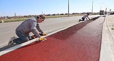 Sağlıklı yol projesi kapsamında Şehit Hamza Çetin Bulvarı ve Şehit Fethi Sekin Bulvarı'na yapılan yürüyüş yolunda çalışmalar devam ediyor
