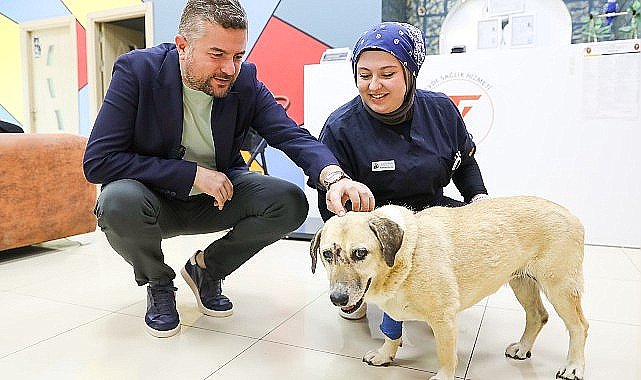 Saldırıya uğrayan can dostuna Buca Belediye Başkanı Duman'dan ziyaret