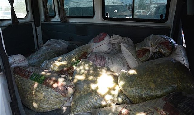 Şanlıurfa'da durdurulan araçta 1 ton 500 kilo çalıntı fıstık ele geçirildi