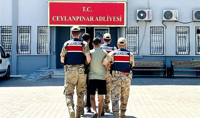 Şanlıurfa'da uyuşturucu operasyonu