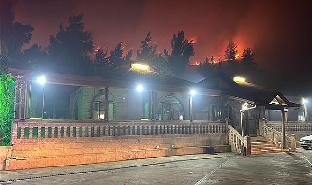 Şanlıurfa'daki orman yangını kontrol altına alındı