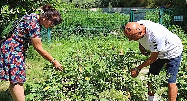 Şehir bostanlıklarının ilk hasadı gerçekleştirildi