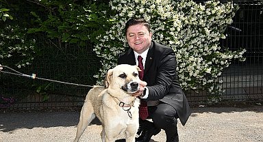 Sokak hayvanları yasa tasarısının geri çekilmesi için sosyal medya hesapları üzerinden çağrı yapan Kadıköy Belediye Başkanı Mesut Kösedağı, “Her canlının eşit yaşama hakkı vardır