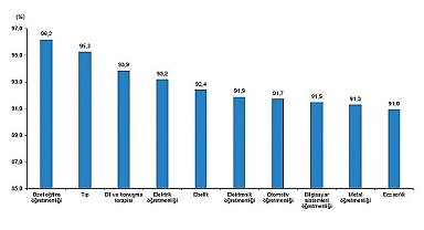 Tüik: Lisans mezunlarında kayıtlı istihdam oranı 2023 yılında %75,6 olarak gerçekleşti