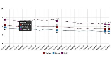 Tüik: Mevsim etkisinden arındırılmış işsizlik oranı %8,4 seviyesinde gerçekleşti