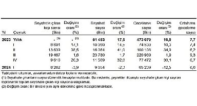 Tüik: Yurt içinde ikamet eden 8 milyon 262 bin kişi seyahate çıktı