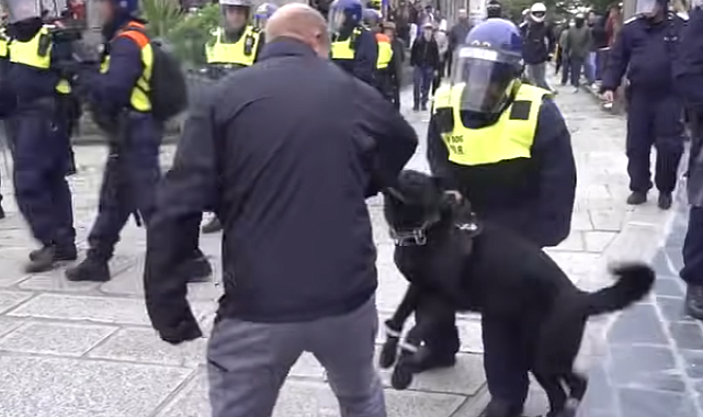 Anket: Her dört Britanyalıdan üçü aşırı sağ konusunda endişeli