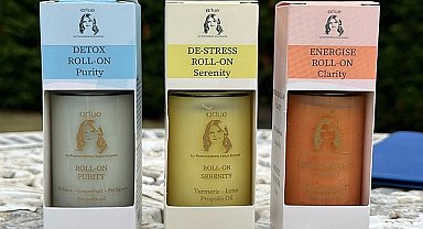 Artue'den Beden Aklına Uygun Ter Kontrolü