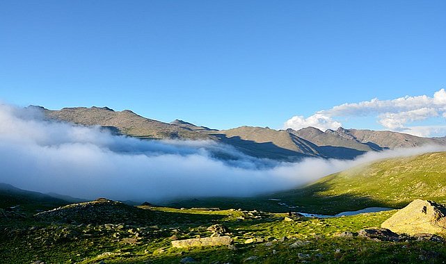 Bakan Yumaklı, Rize'de